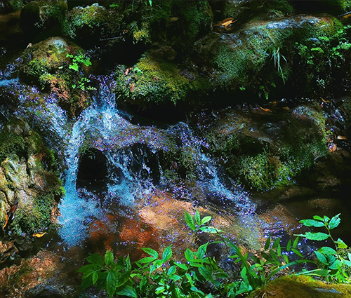 Ê×Ò³| ×ðÁú¼¯ÍÅÖйú¹Ù·½ÍøÕ¾